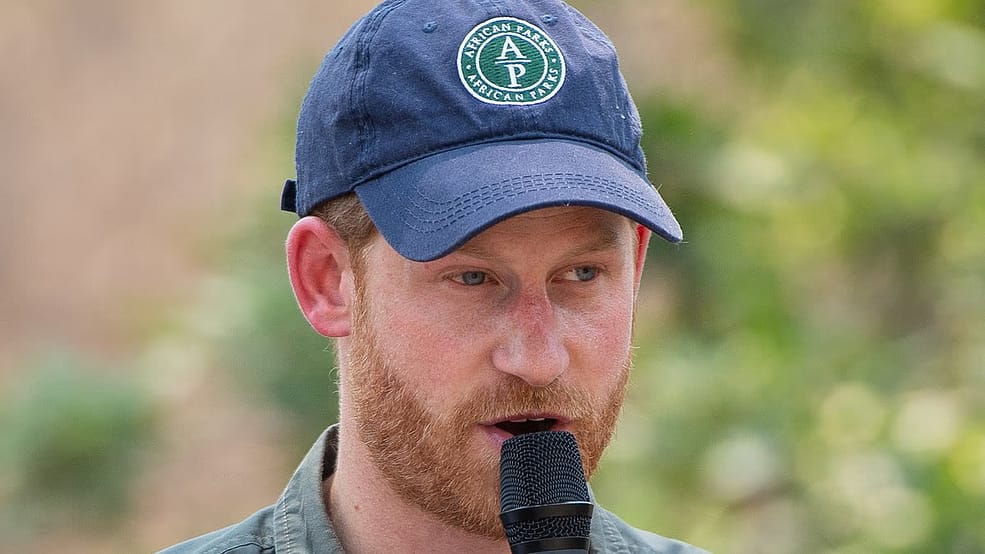 Prince Harry components methods with controversial charity African Parks which has encountered arguing of person rights abuses carried out by its rangers