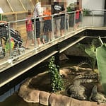 Boy, 3, Has 5 Surgeries After Being ‘Thrown Into Croc Pit